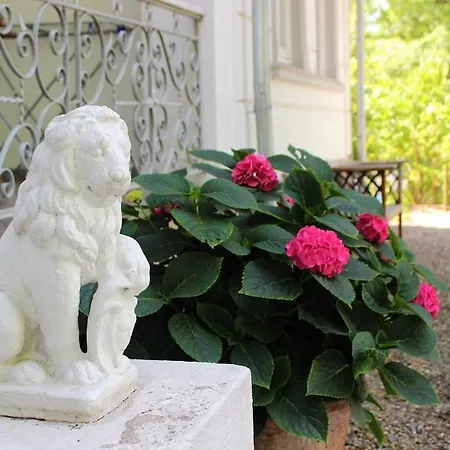 Appartement Sanssouci In - Baderstilvilla Mit Individuellen